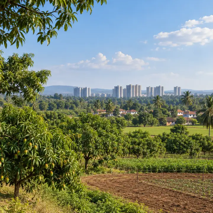 Sattva Uttari residential towers seen across mango orchards, farmland and coconut palms on a clear day, artist's impression Sattva Uttari residential towers seen across mango orchards, farmland and coconut palms on a clear day, artist's impression